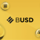 BUSD-coin-img