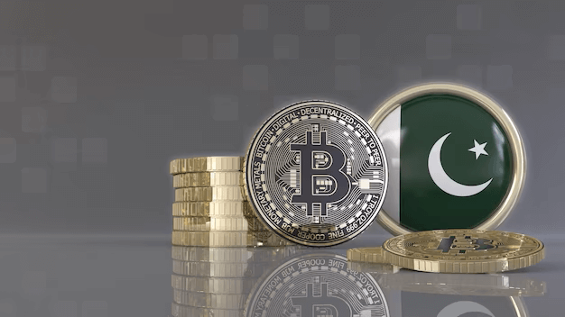 Pakistan-crypto-img