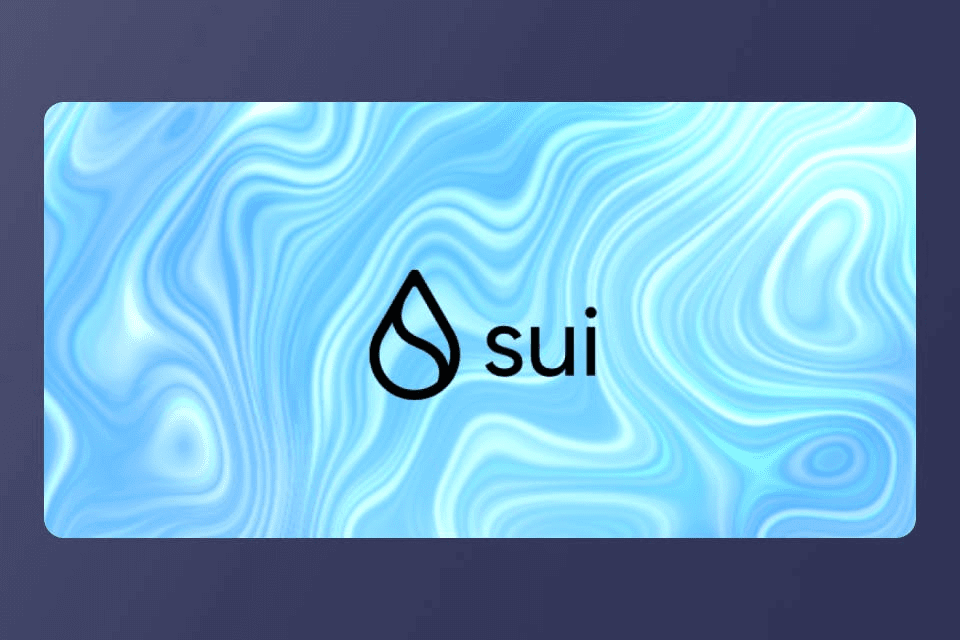 SUI-Network-img