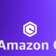 Amazon-Q-img