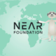 Near-Foundation-img