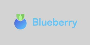 Blueberry-Protocol-img