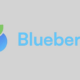 Blueberry-Protocol-img