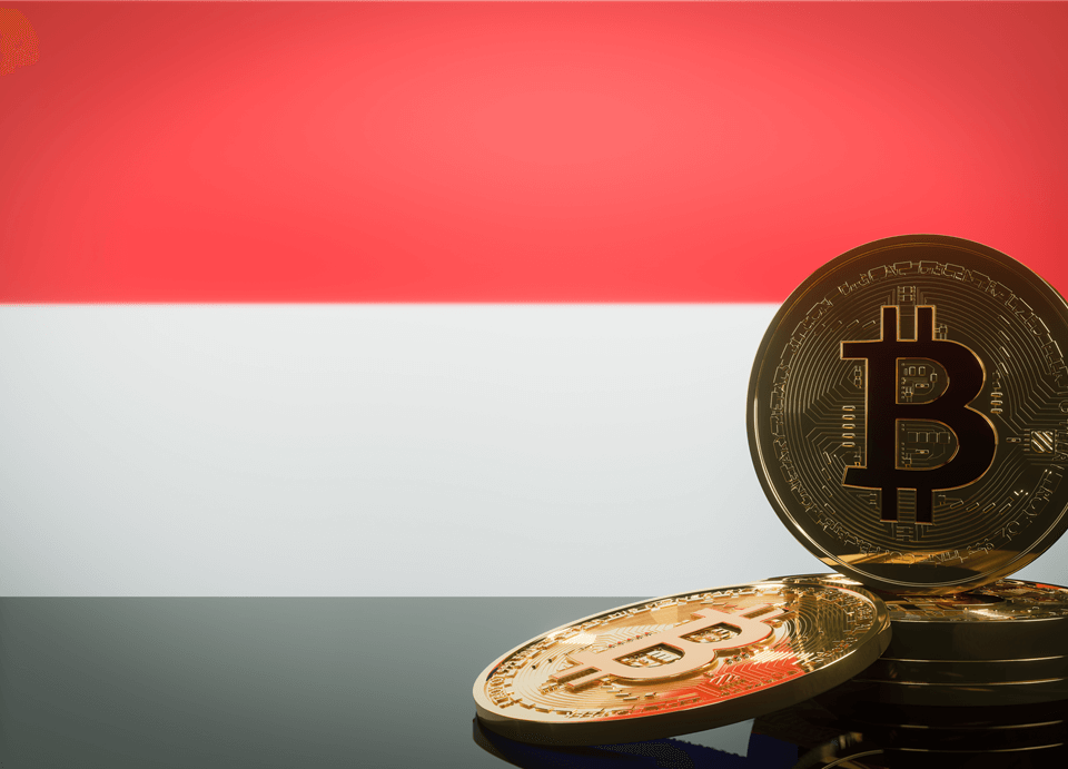 Indonesia-crypto-img