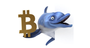 Bitcoin-Whale-img