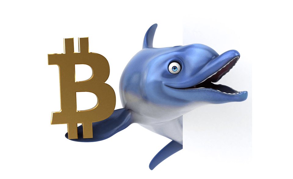 Bitcoin-Whale-img